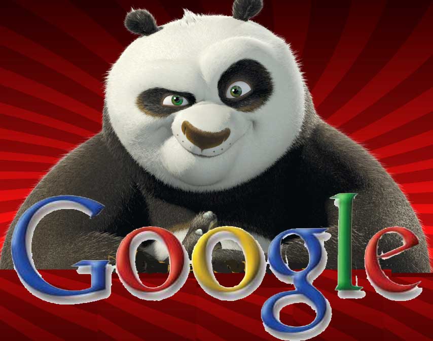 10 Steps To Surviving The Google Panda Transition