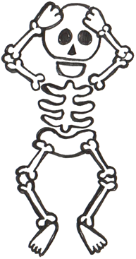 skeleton on super-trainer.com fitness marketing